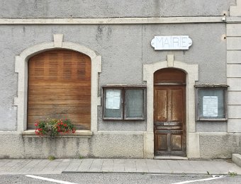 IMG_7308.jpeg