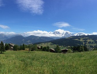 IMG_7349.jpeg