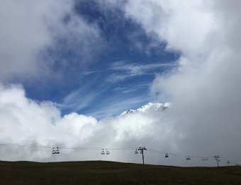 IMG_7366.jpeg