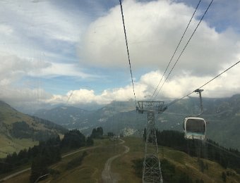 IMG_7425.jpeg