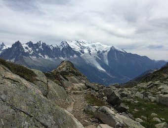 IMG_7456.jpeg