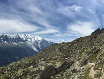 IMG_7461.jpeg