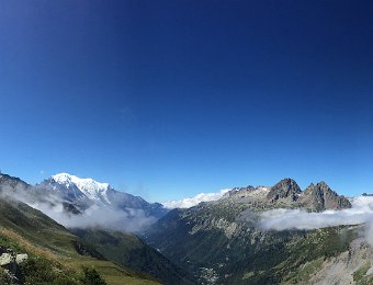 IMG_7504