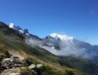 IMG_7505