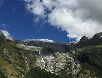 IMG_7561