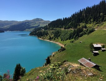 IMG_7570